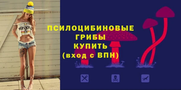 соль курить ск Краснослободск