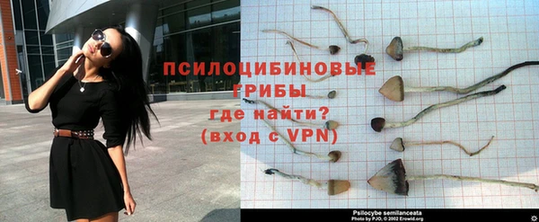 apvp Красноперекопск